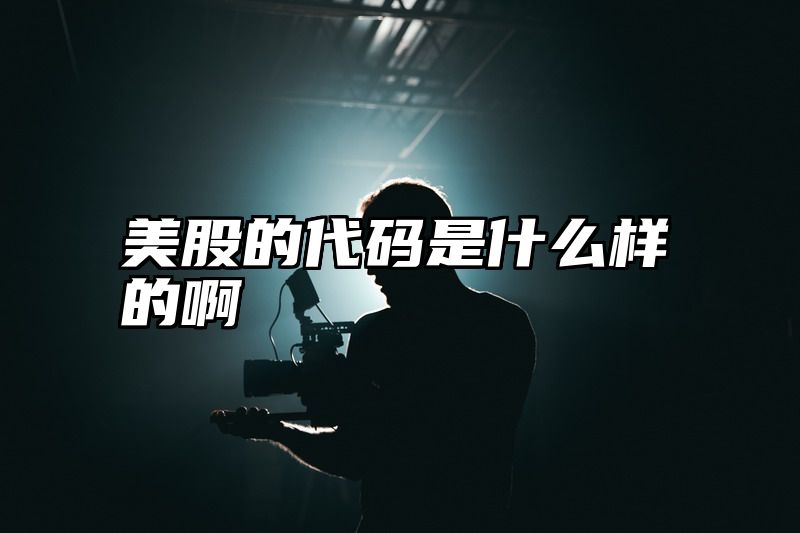 美股的代码是什么样的啊