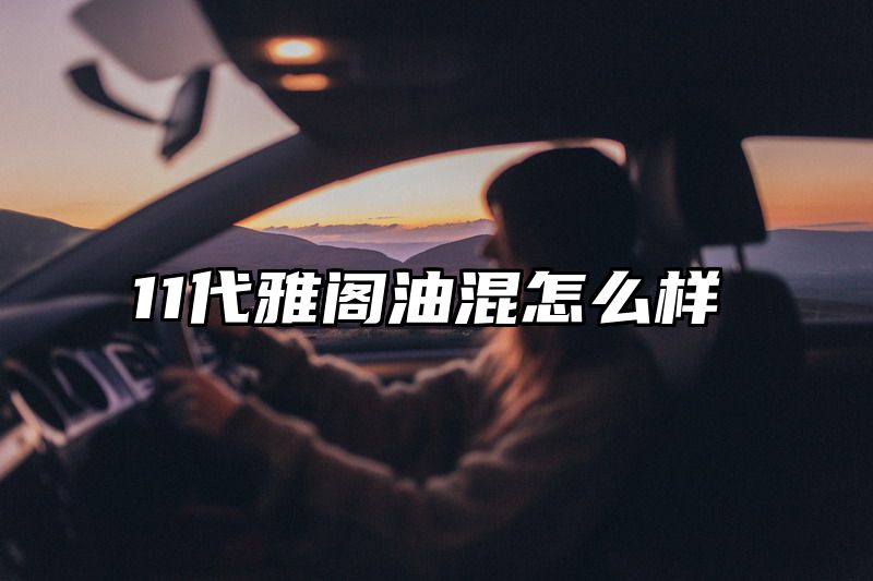 11代雅阁油混怎么样