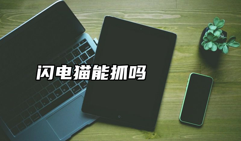 闪电猫能抓吗