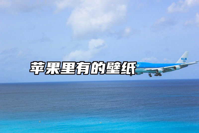 苹果里有的壁纸