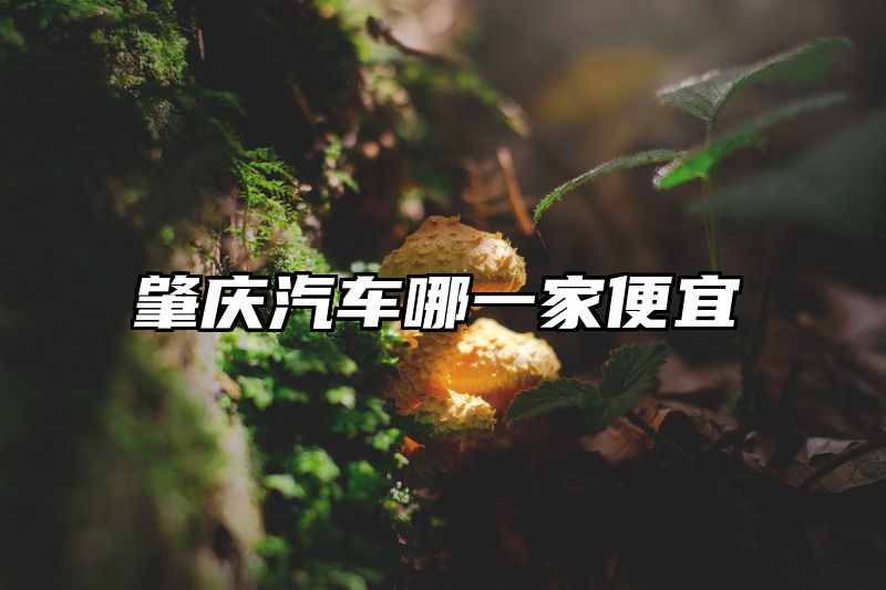 肇庆汽车哪一家便宜
