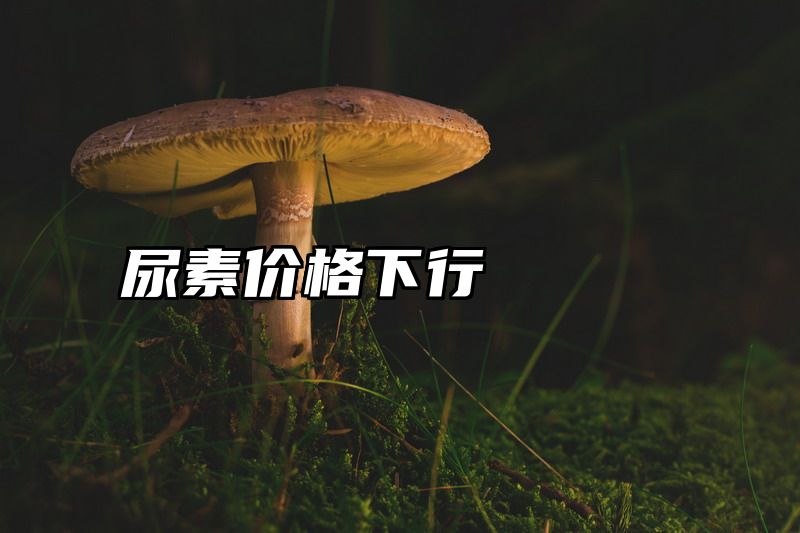 尿素价格下行