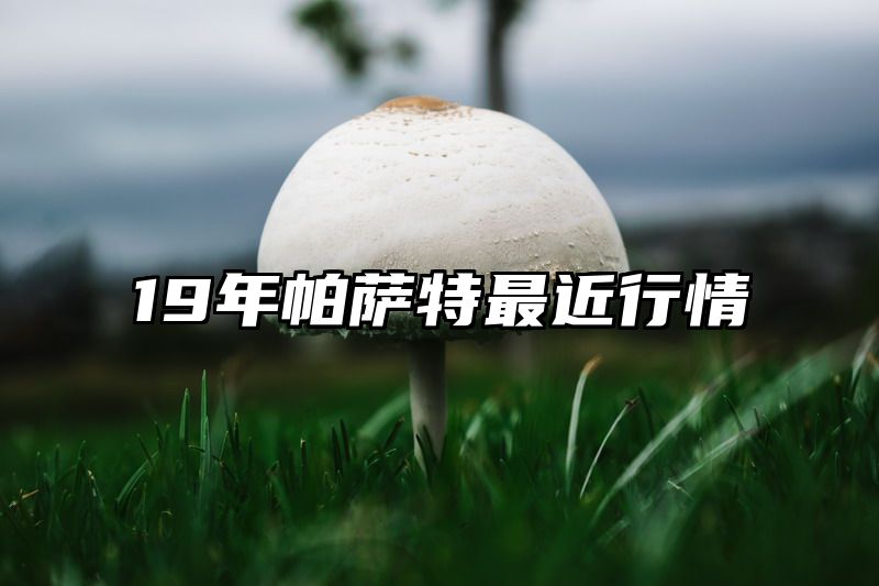 19年帕萨特最近行情