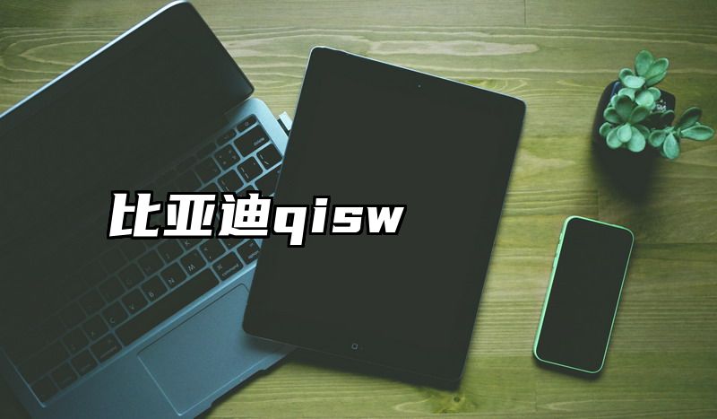 比亚迪qisw