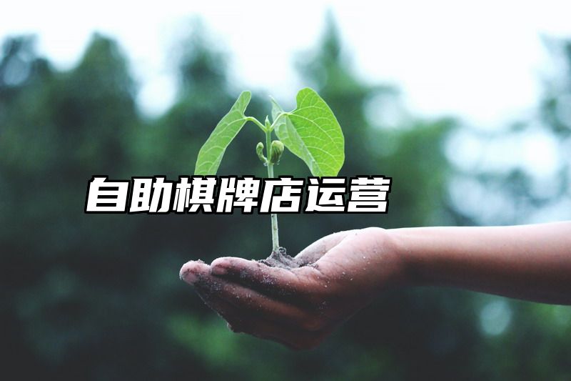 自助棋牌店运营