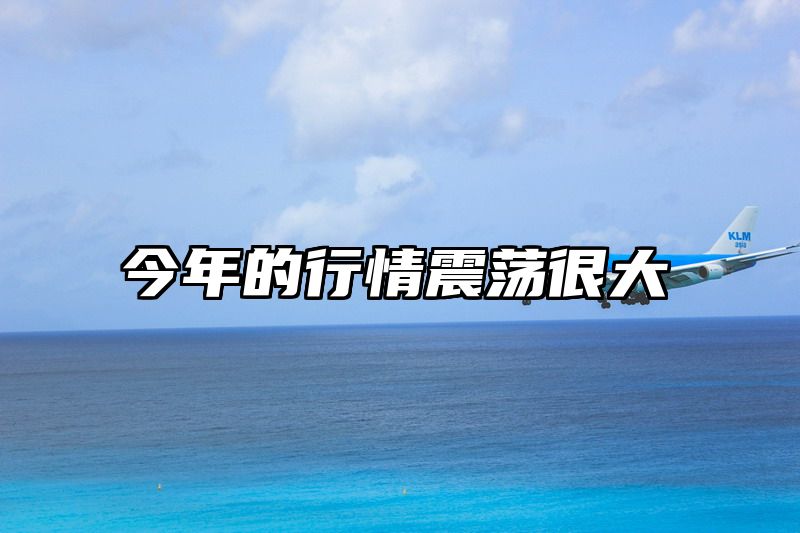 今年的行情震荡很大