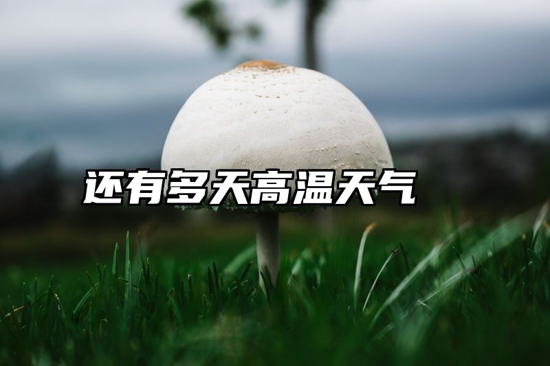 还有多天高温天气
