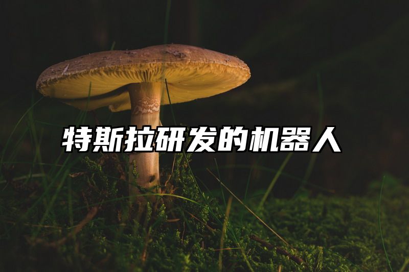 特斯拉研发的机器人
