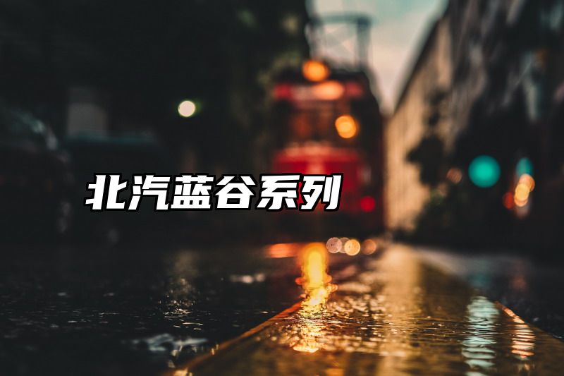 北汽蓝谷系列