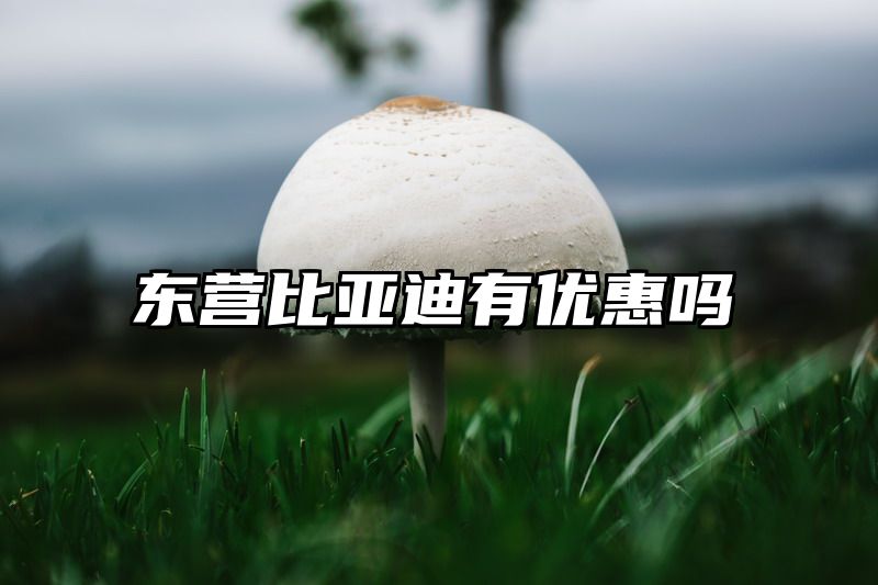 东营比亚迪有优惠吗