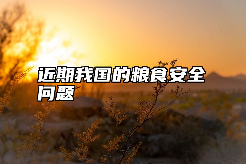 近期我国的粮食安全问题
