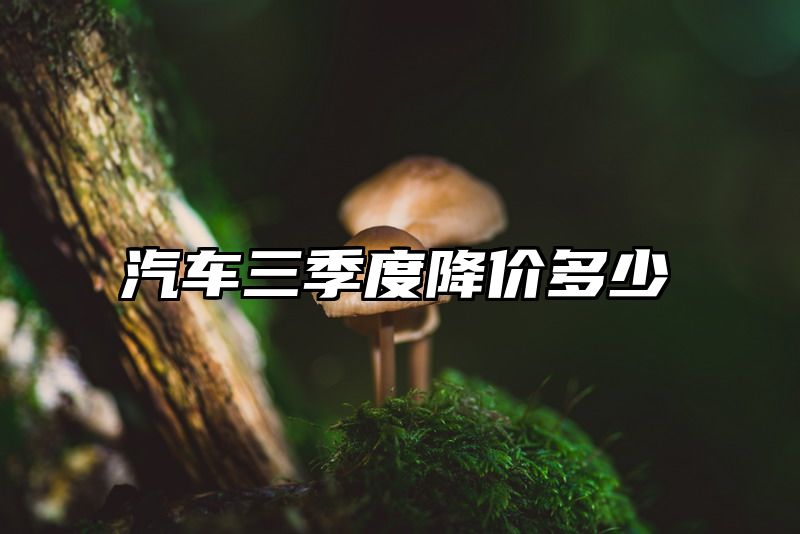 汽车三季度降价多少