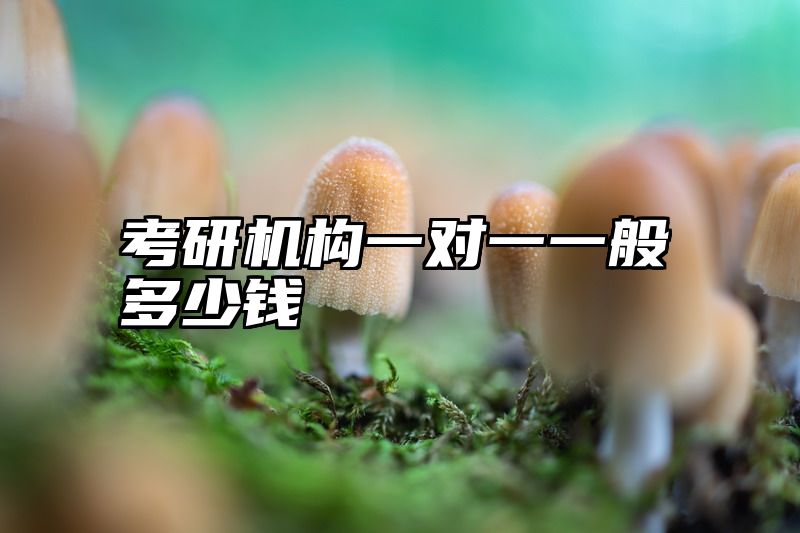 考研机构一对一一般多少钱