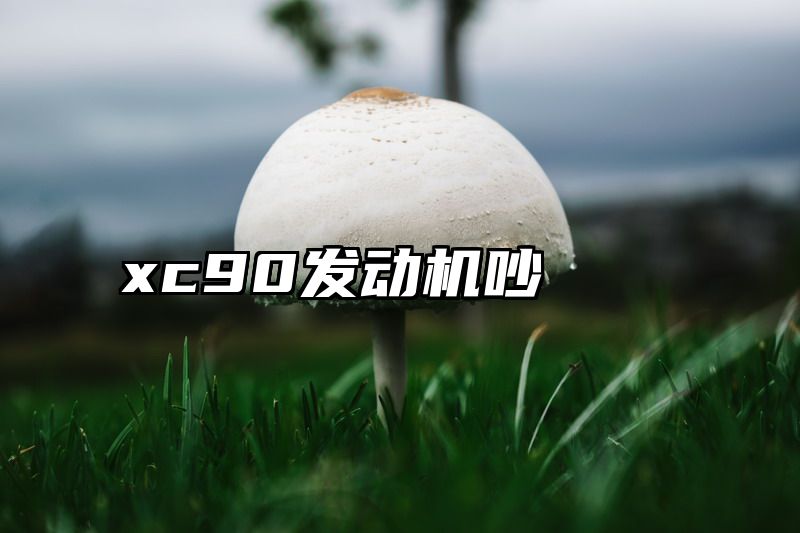 点击查看《xc90发动机吵》全文