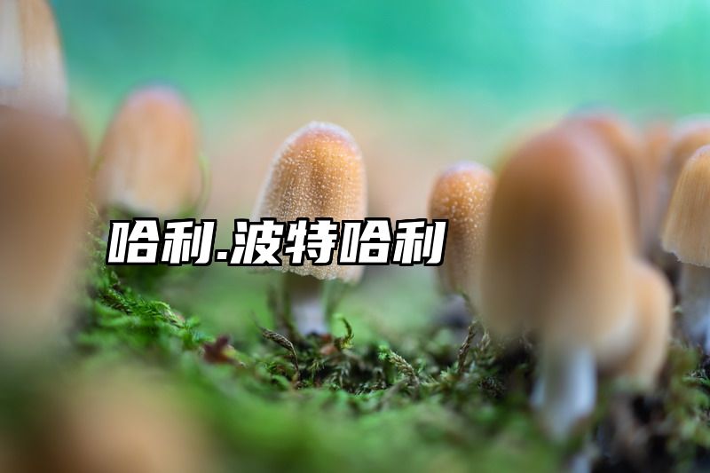 哈利.波特哈利