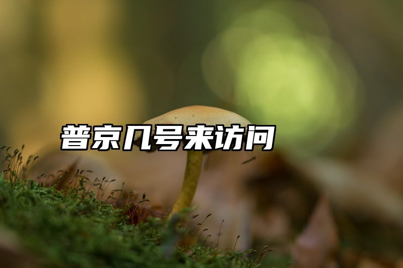 普京几号来访问