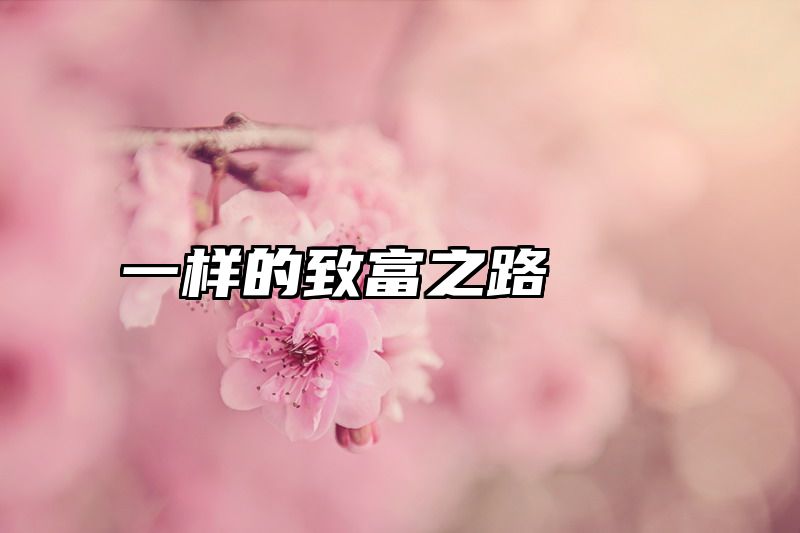 一样的致富之路