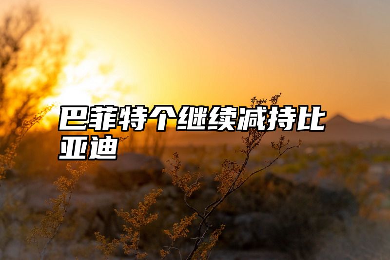 巴菲特个继续减持比亚迪