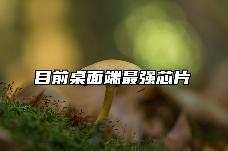 目前桌面端最强芯片