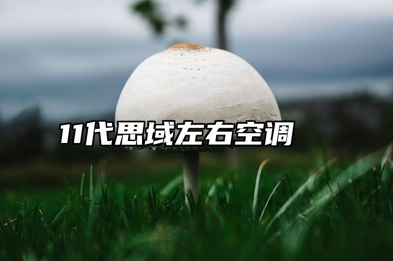 11代思域左右空调