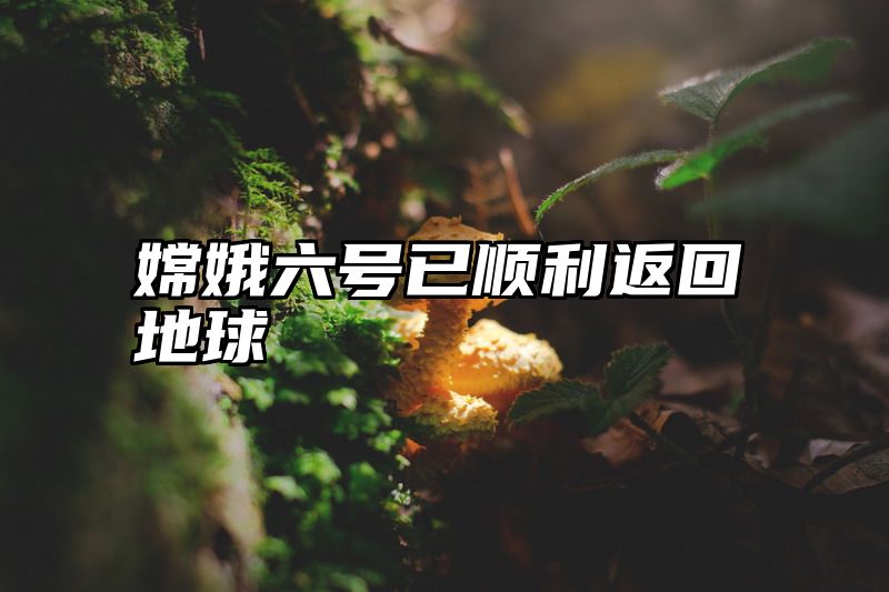 嫦娥六号已顺利返回地球