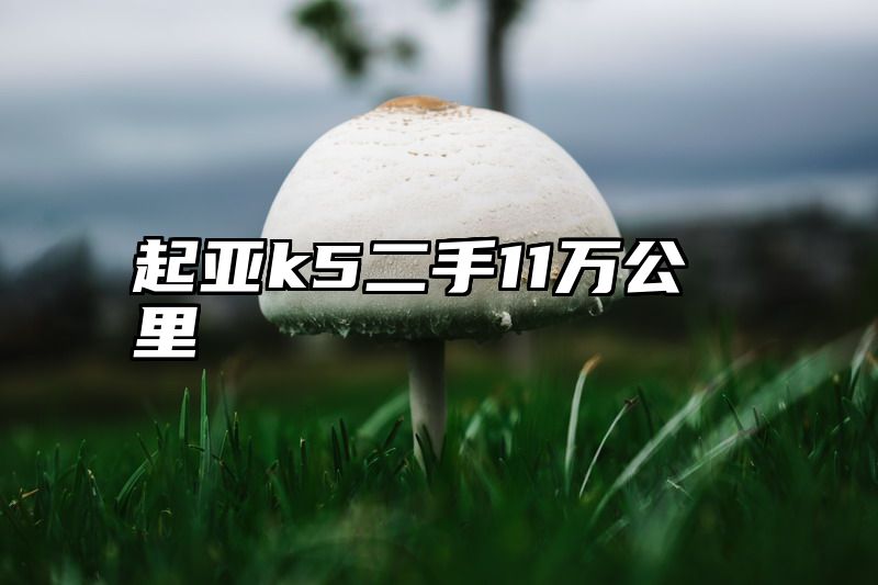 起亚k5二手11万公里