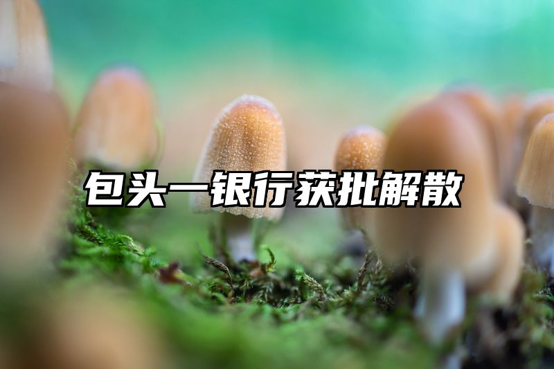 包头一银行获批解散