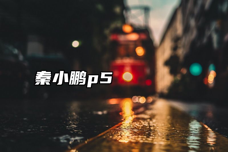 秦小鹏p5