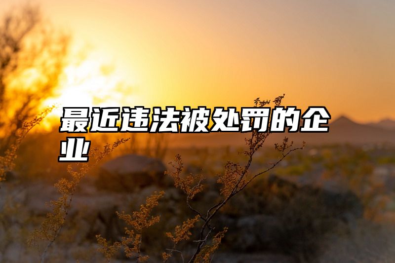最近违法被处罚的企业