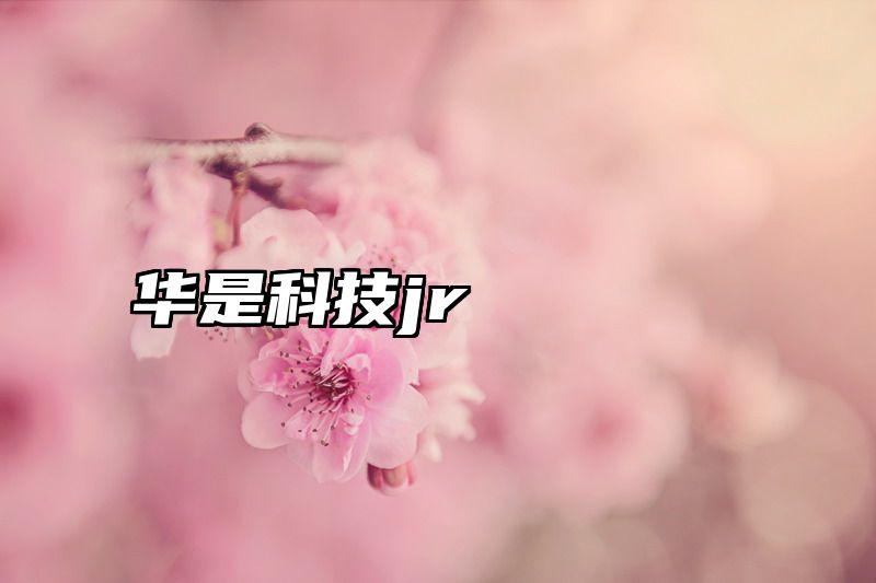 华是科技jr