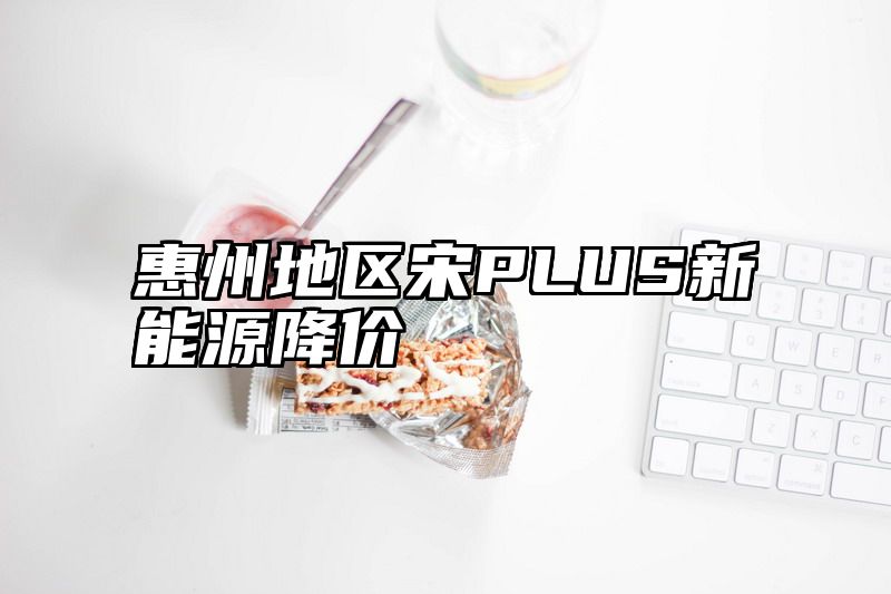 惠州地区宋PLUS新能源降价