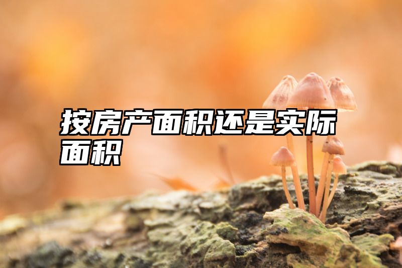 按房产面积还是实际面积