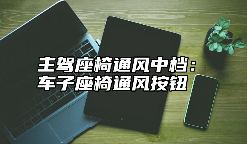 主驾座椅通风中档：车子座椅通风按钮