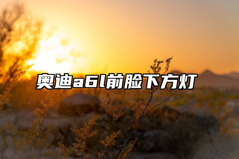 点击查看《奥迪a6l前脸下方灯》全文