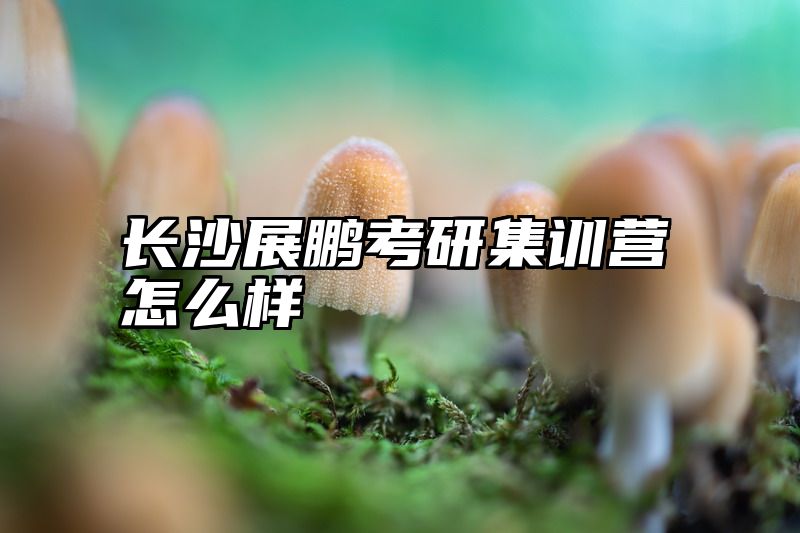 点击查看《长沙展鹏考研集训营怎么样》全文