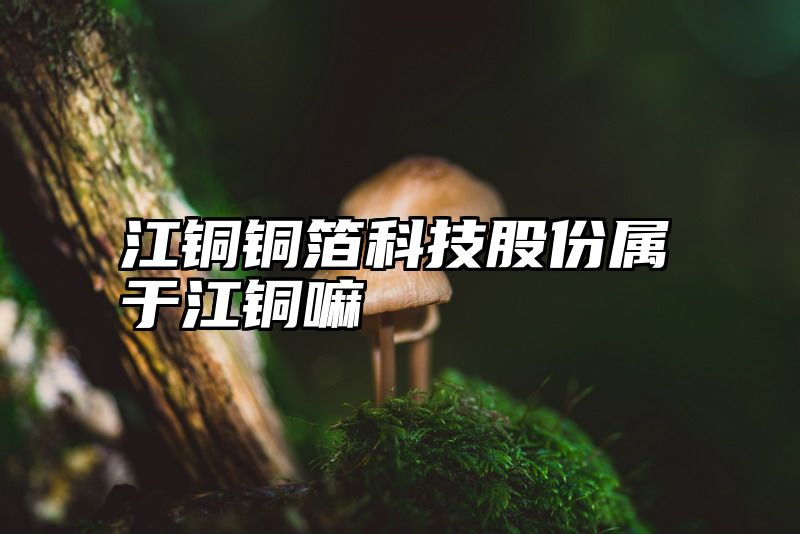 江铜铜箔科技股份属于江铜嘛