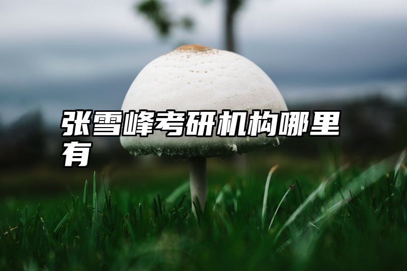 点击查看《张雪峰考研机构哪里有》全文