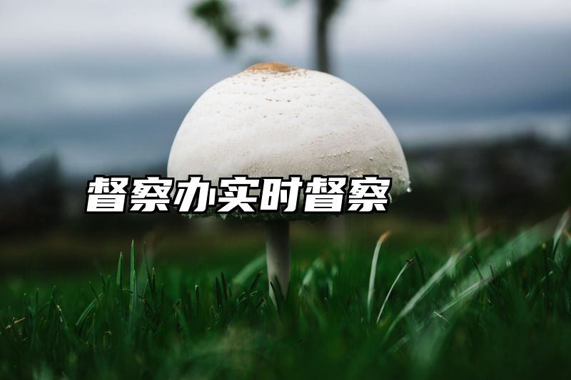 督察办实时督察