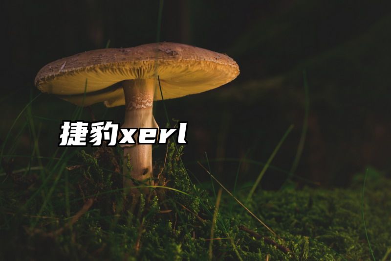捷豹xerl