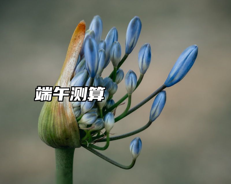端午测算