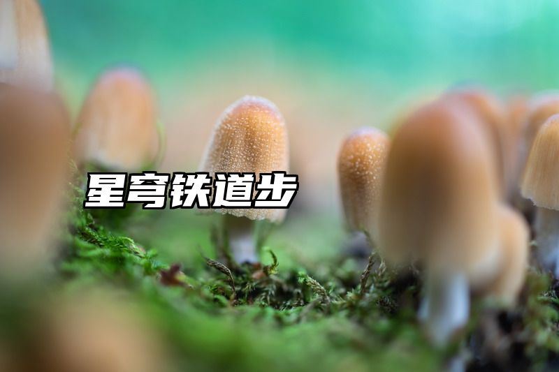 星穹铁道步