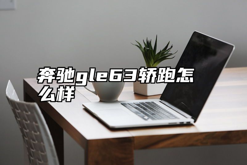 点击查看《奔驰gle63轿跑怎么样》全文