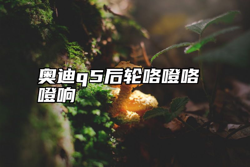 点击查看《奥迪q5后轮咯噔咯噔响》全文