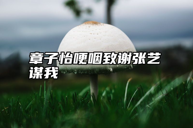 章子怡哽咽致谢张艺谋我
