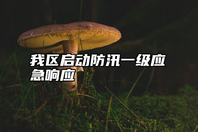我区启动防汛一级应急响应