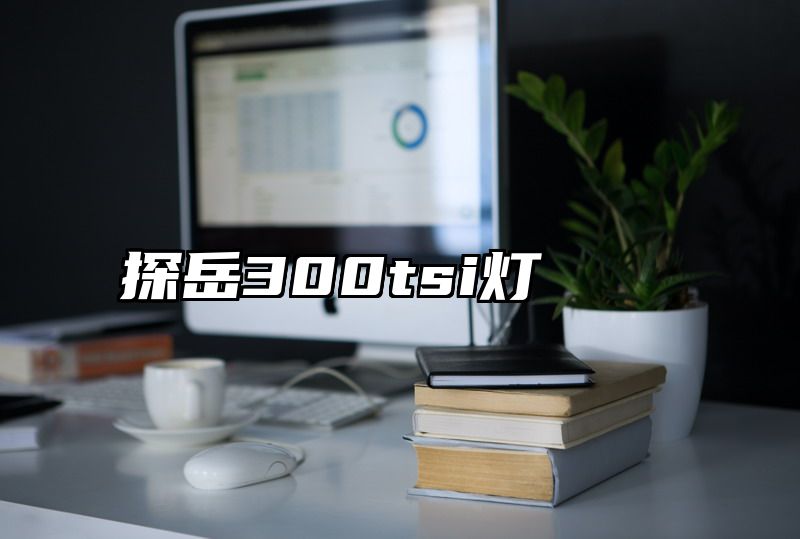 探岳300tsi灯