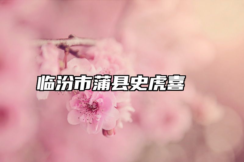 临汾市蒲县史虎喜