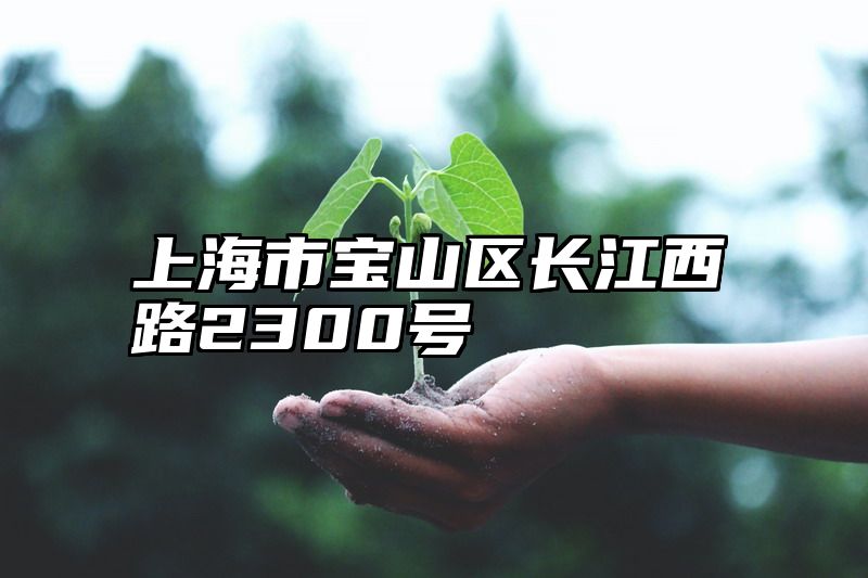 上海市宝山区长江西路2300号