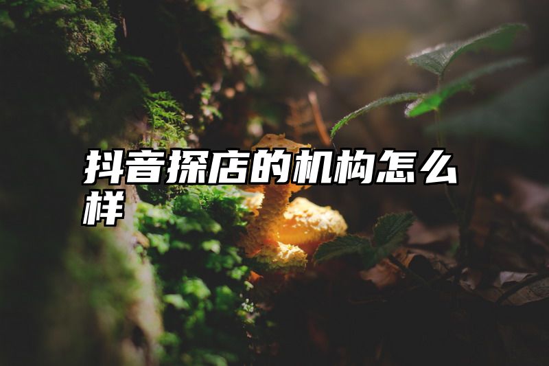 抖音探店的机构怎么样