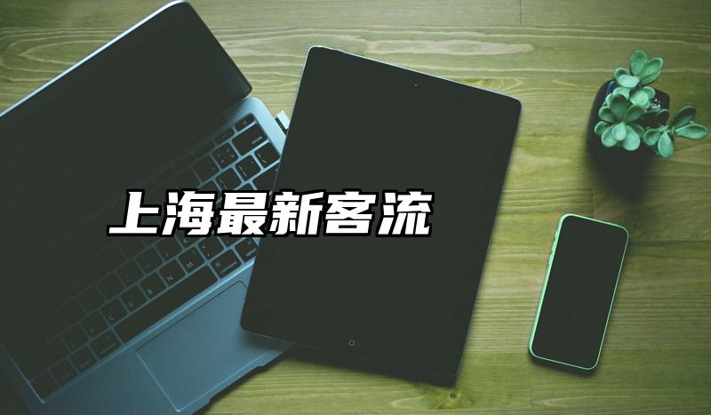 上海最新客流